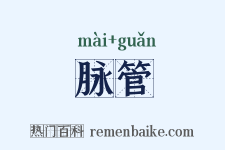 脉管是什么意思的图片